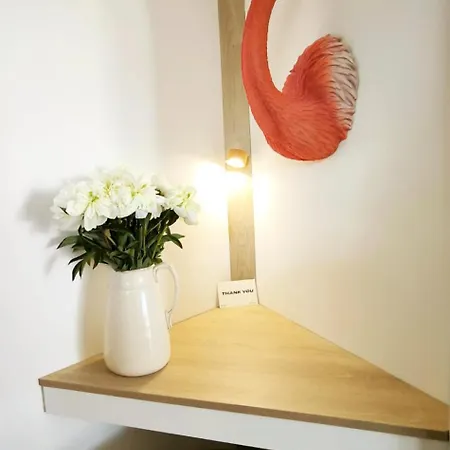 Apartamento Le Flamant Rose De Lilo'salins